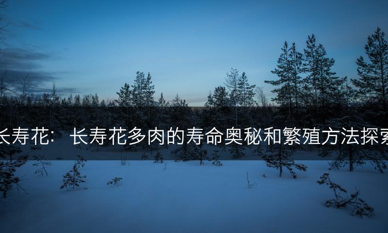 长寿花：长寿花多肉的寿命奥秘和繁殖方法探索(图1)