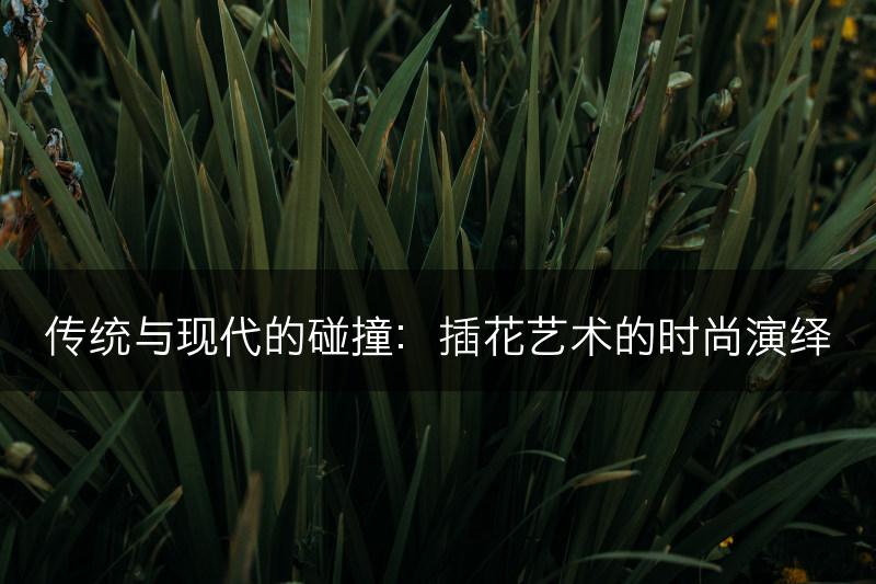 传统与现代的碰撞：插花艺术的时尚演绎(图1)