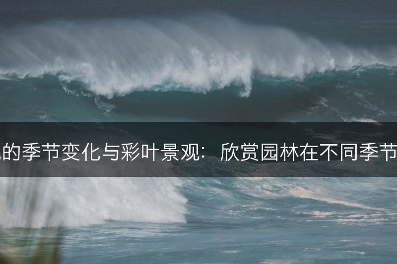 园林景观的季节变化与彩叶景观：欣赏园林在不同季节中的美景(图1)