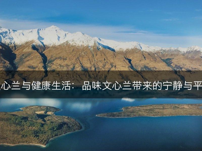 文心兰与健康生活:品味文心兰带来的宁静与平和(图1) 文心兰与健康生活:品味文心兰带来的宁静与平和(图1)