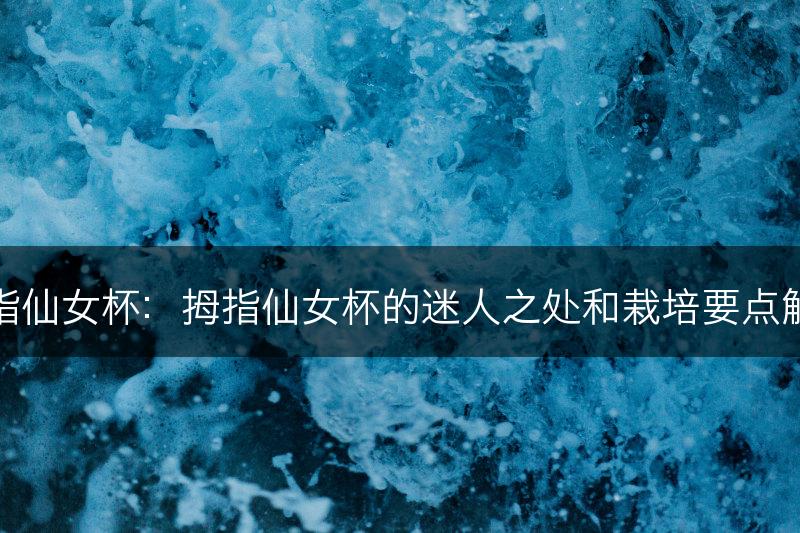 拇指仙女杯：拇指仙女杯的迷人之处和栽培要点解读(图1)