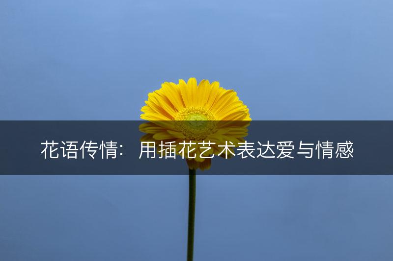 花语传情:用插花艺术表达爱与情感(图1) 花语传情:用插花艺术表达爱与情感(图1)