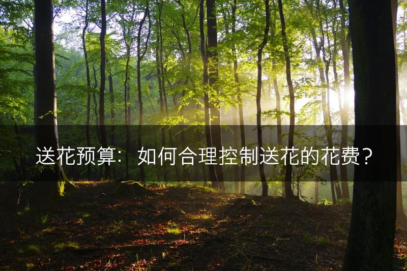 送花预算：如何合理控制送花的花费？(图1)