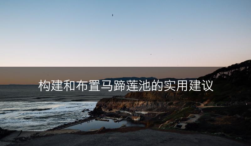 构建和布置马蹄莲池的实用建议(图1)