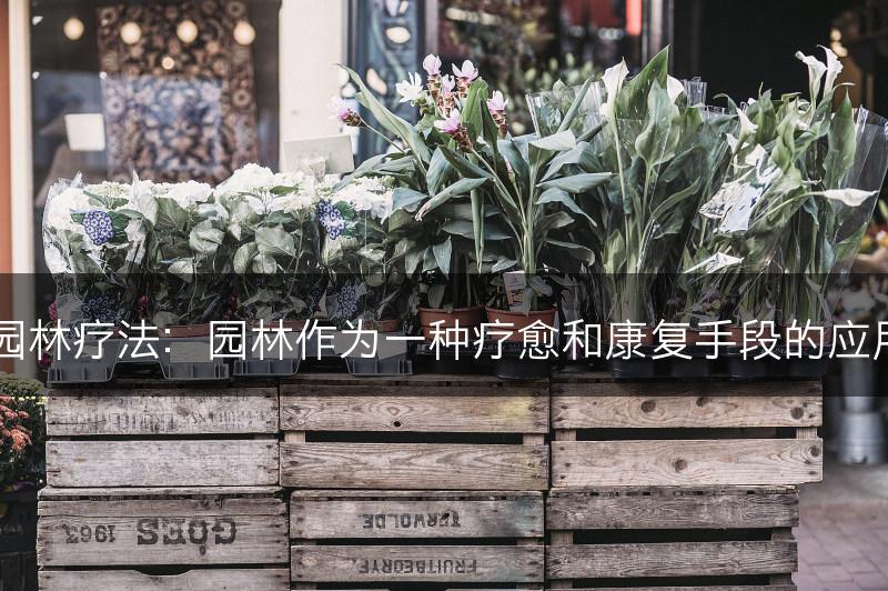 园林疗法：园林作为一种疗愈和康复手段的应用(图1)