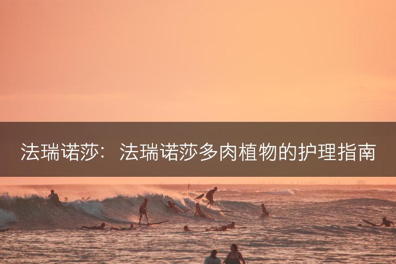 法瑞诺莎：法瑞诺莎多肉植物的护理指南(图1)