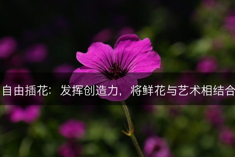 自由插花：发挥创造力，将鲜花与艺术相结合(图1)