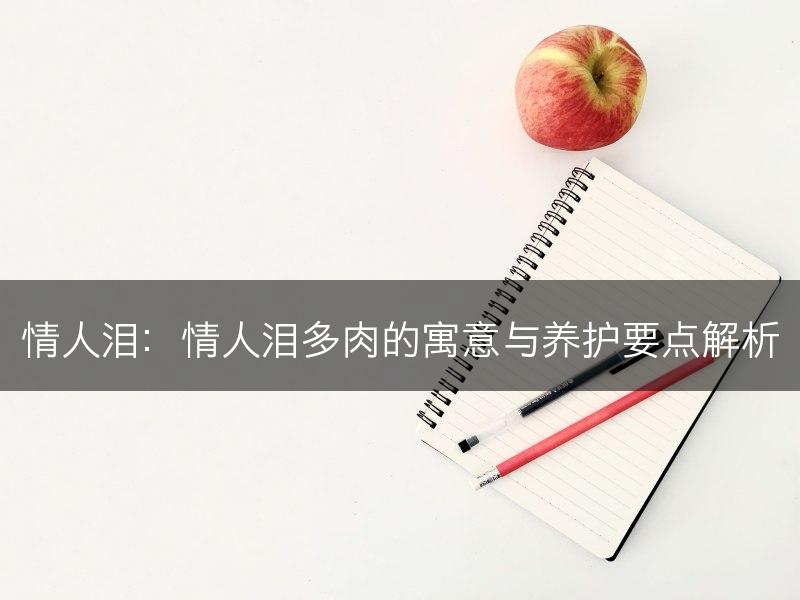 情人泪：情人泪多肉的寓意与养护要点解析(图1)