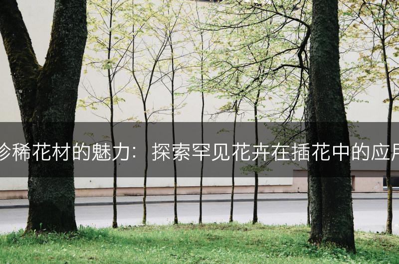 珍稀花材的魅力:探索罕见花卉在插花中的应用(图1) 珍稀花材的魅力:探索罕见花卉在插花中的应用(图1)