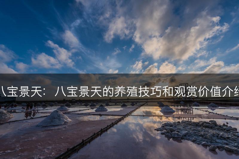 八宝景天：八宝景天的养殖技巧和观赏价值介绍(图1)