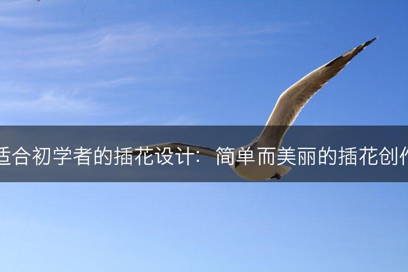 五种适合初学者的插花设计：简单而美丽的插花创作灵感(图1)