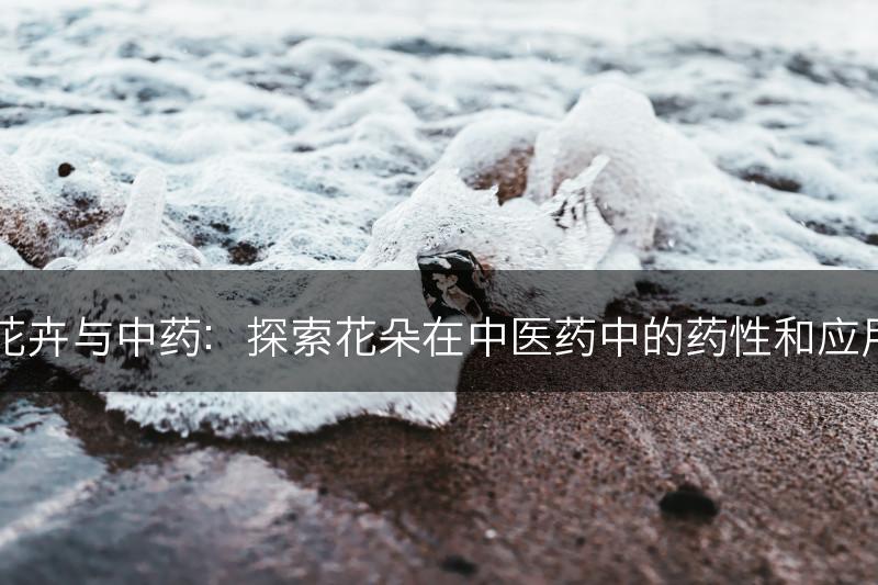 花卉与中药：探索花朵在中医药中的药性和应用(图1)