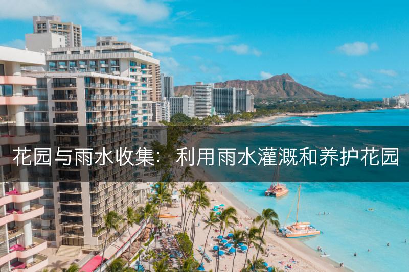 花园与雨水收集：利用雨水灌溉和养护花园(图1)