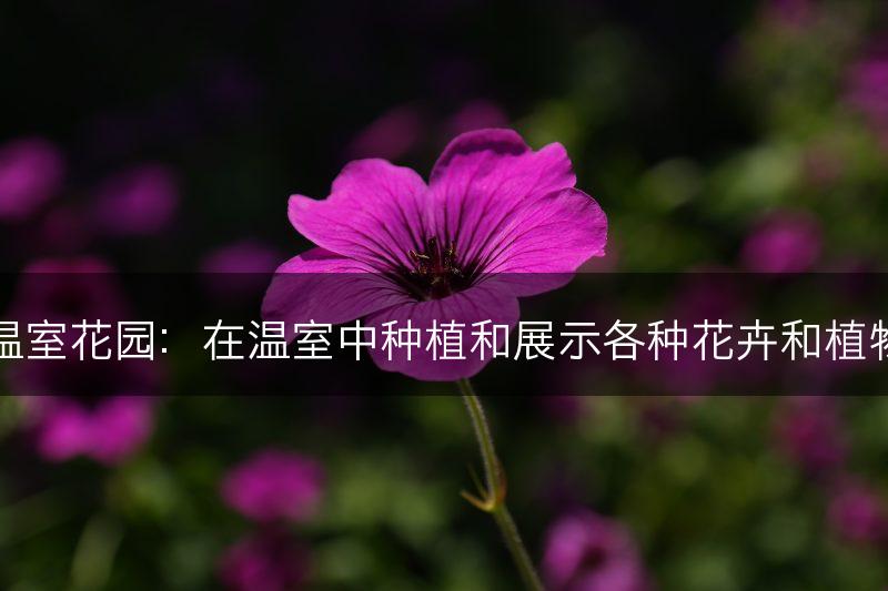 温室花园：在温室中种植和展示各种花卉和植物(图1)