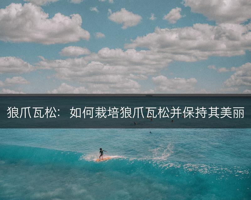 狼爪瓦松：如何栽培狼爪瓦松并保持其美丽(图1)