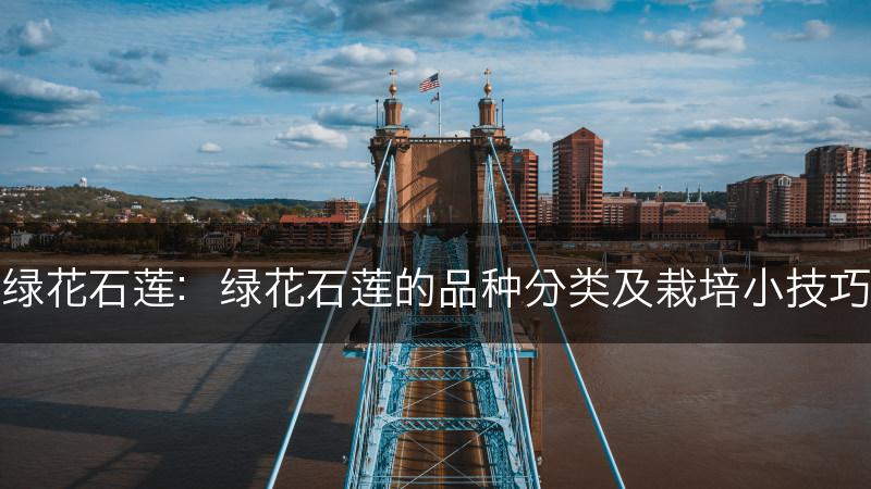 绿花石莲：绿花石莲的品种分类及栽培小技巧(图1)