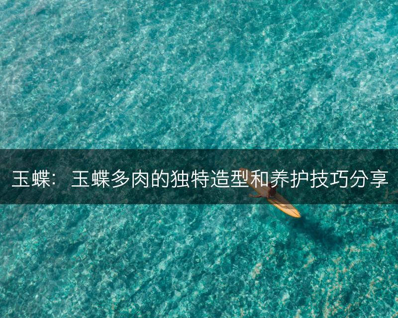 玉蝶：玉蝶多肉的独特造型和养护技巧分享(图1)