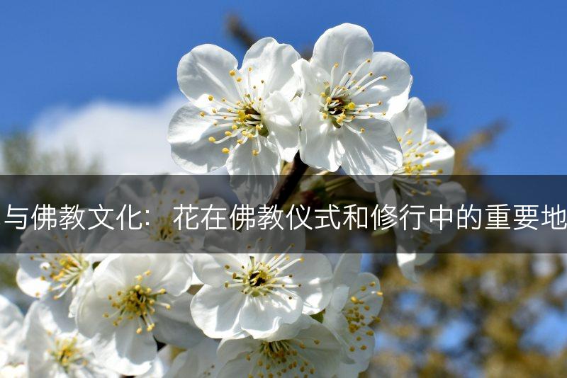 花与佛教文化：花在佛教仪式和修行中的重要地位(图1)
