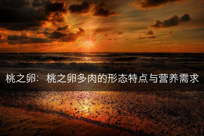 桃之卵：桃之卵多肉的形态特点与营养需求(图1)