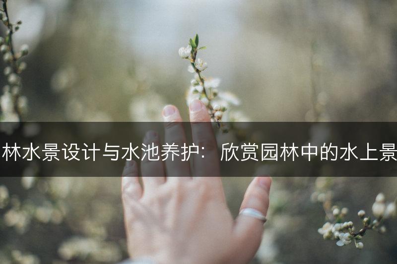 园林水景设计与水池养护：欣赏园林中的水上景观(图1)