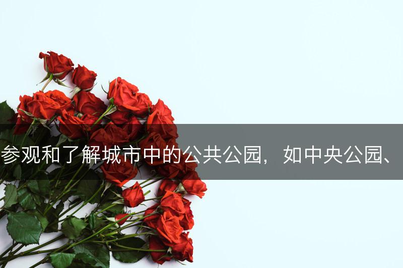 城市公园：参观和了解城市中的公共公园，如中央公园、海德公园等(图1)