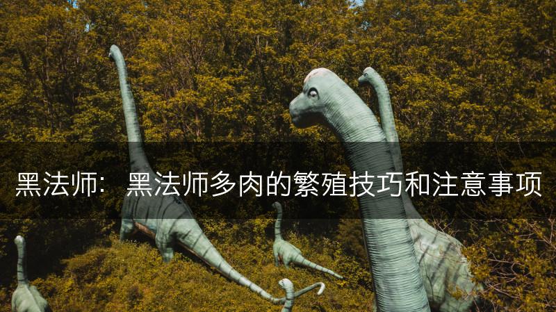 黑法师：黑法师多肉的繁殖技巧和注意事项(图1)