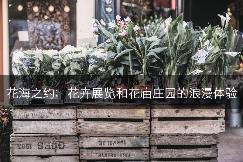 花海之约：花卉展览和花庙庄园的浪漫体验(图1)