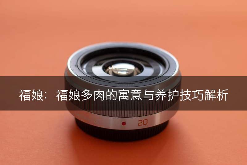 福娘：福娘多肉的寓意与养护技巧解析(图1)