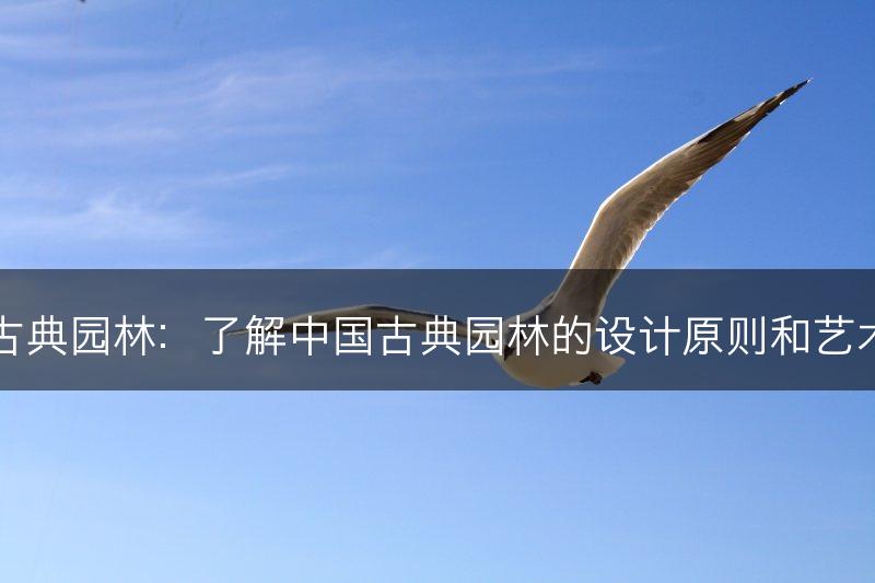 中国古典园林：了解中国古典园林的设计原则和艺术特色(图1)