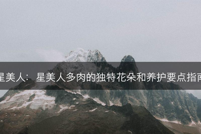 星美人：星美人多肉的独特花朵和养护要点指南(图1)