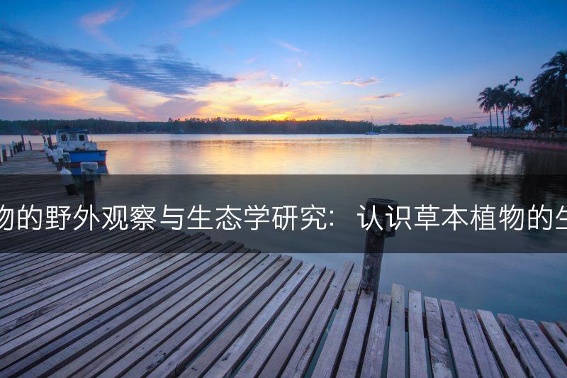 草本植物的野外观察与生态学研究：认识草本植物的生态习性(图1)