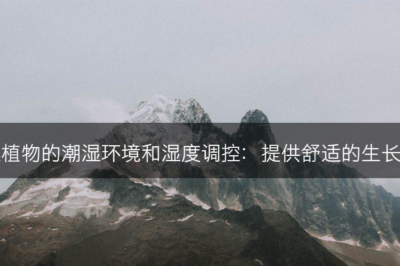 石莲植物的潮湿环境和湿度调控：提供舒适的生长条件(图1)