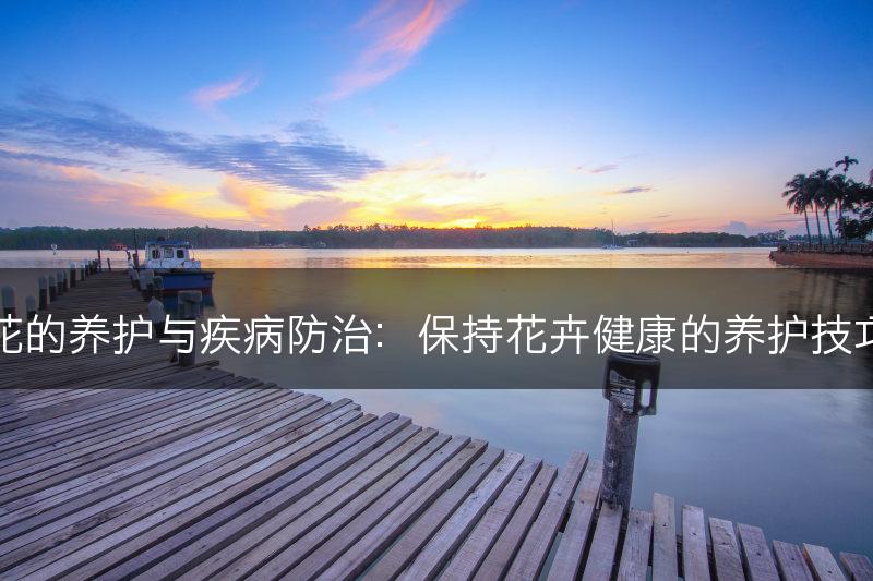 花的养护与疾病防治：保持花卉健康的养护技巧(图1)