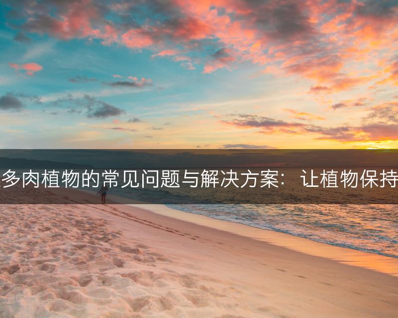 云南石莲多肉植物的常见问题与解决方案：让植物保持健康成长(图1)