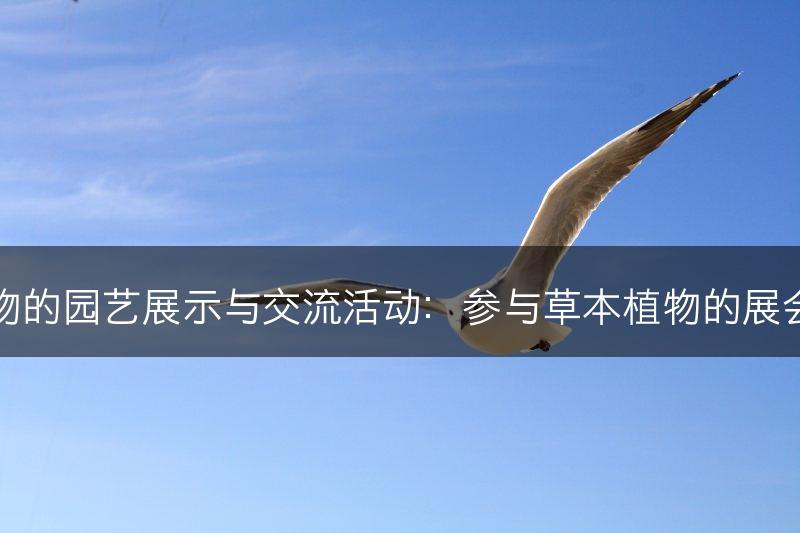 草本植物的园艺展示与交流活动：参与草本植物的展会与交流(图1)