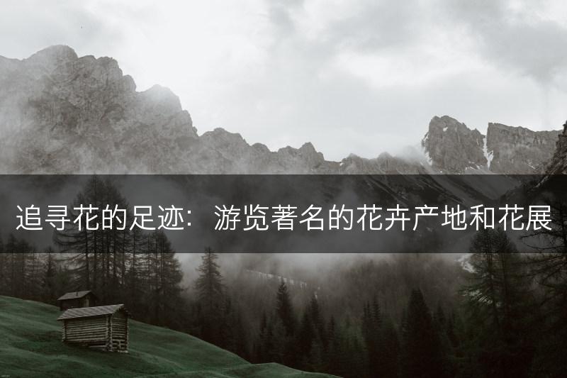追寻花的足迹：游览著名的花卉产地和花展(图1)