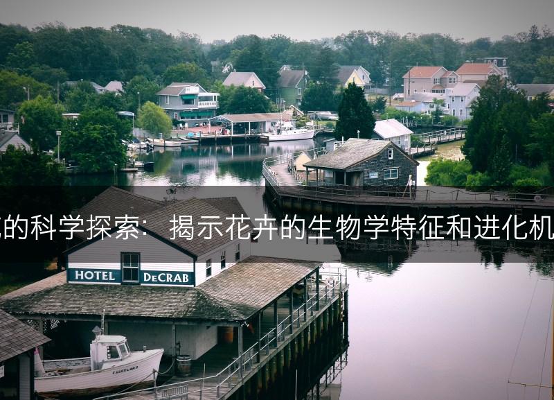 花的科学探索：揭示花卉的生物学特征和进化机制(图1)