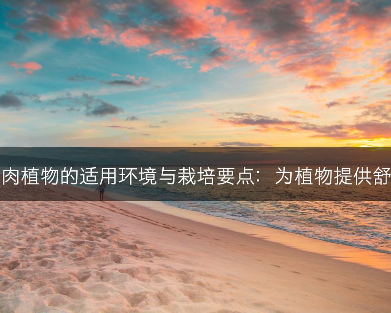 云南石莲多肉植物的适用环境与栽培要点：为植物提供舒适生长条件(图1)