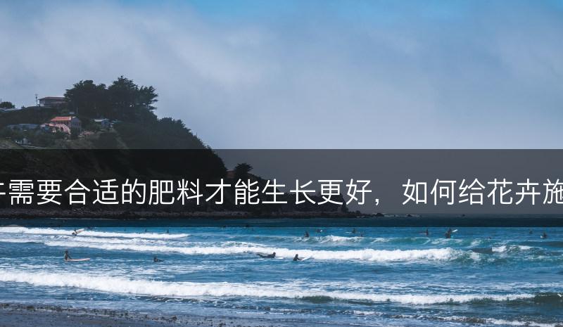 花卉需要合适的肥料才能生长更好，如何给花卉施肥？(图1)