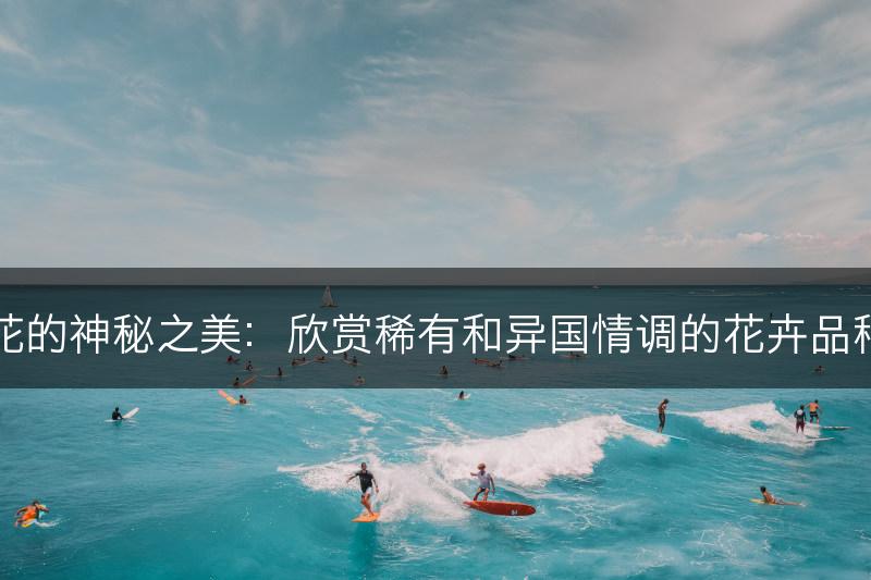花的神秘之美：欣赏稀有和异国情调的花卉品种(图1)