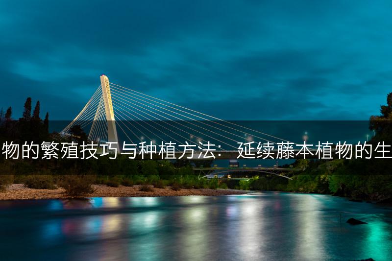 藤本植物的繁殖技巧与种植方法：延续藤本植物的生命之美(图1)