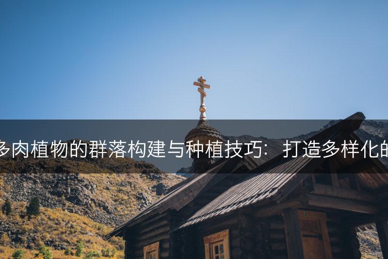云南石莲多肉植物的群落构建与种植技巧：打造多样化的植物组合(图1)
