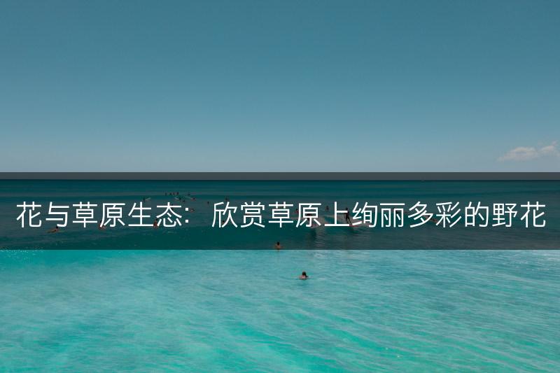 花与草原生态：欣赏草原上绚丽多彩的野花(图1)