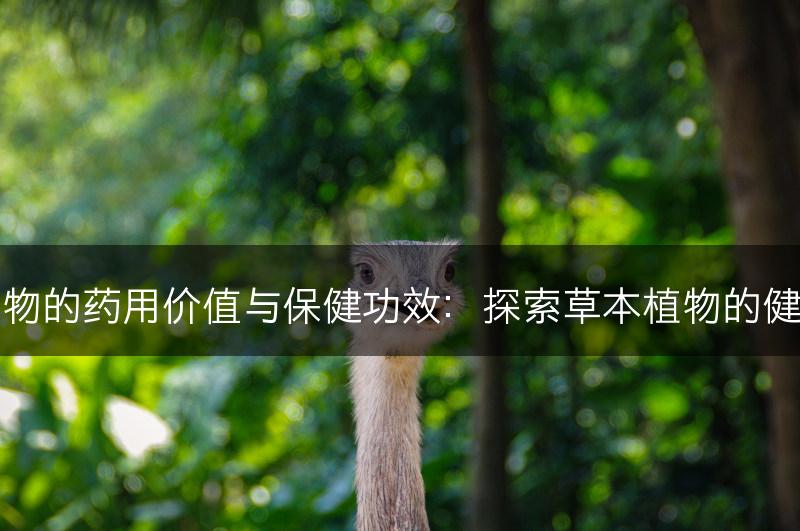 草本植物的药用价值与保健功效：探索草本植物的健康之道(图1)