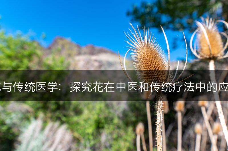 花与传统医学：探究花在中医和传统疗法中的应用(图1)