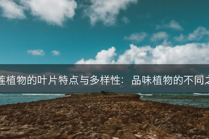 石莲植物的叶片特点与多样性：品味植物的不同之美(图1)