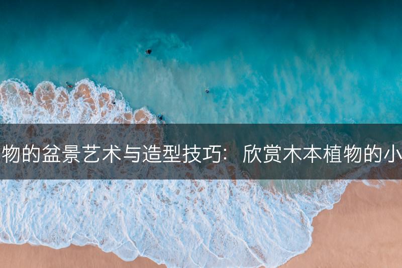 木本植物的盆景艺术与造型技巧：欣赏木本植物的小品盆景(图1)