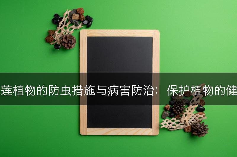 石莲植物的防虫措施与病害防治：保护植物的健康(图1)