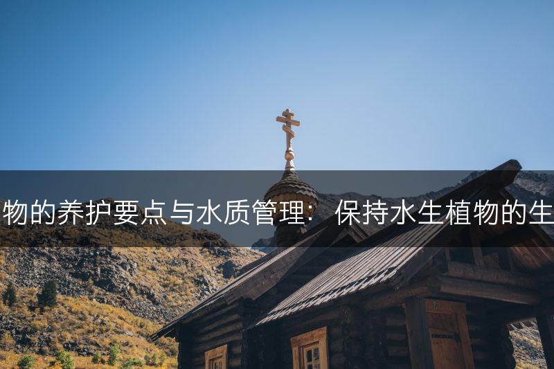 水生植物的养护要点与水质管理：保持水生植物的生长健康(图1)