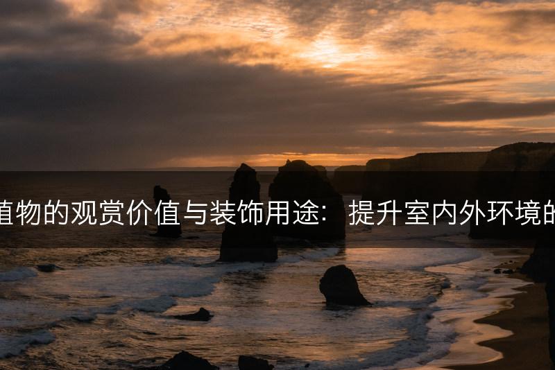 石莲植物的观赏价值与装饰用途：提升室内外环境的美感(图1)